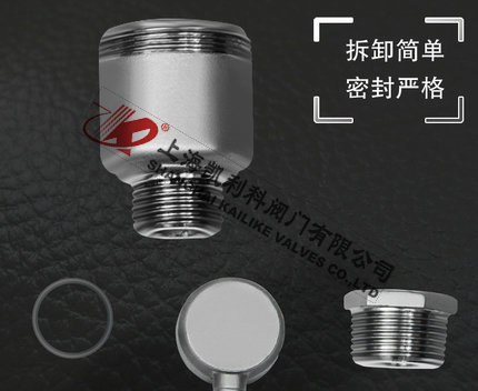 AVAX不銹鋼自動排氣閥可拆卸設(shè)計細節(jié)說明